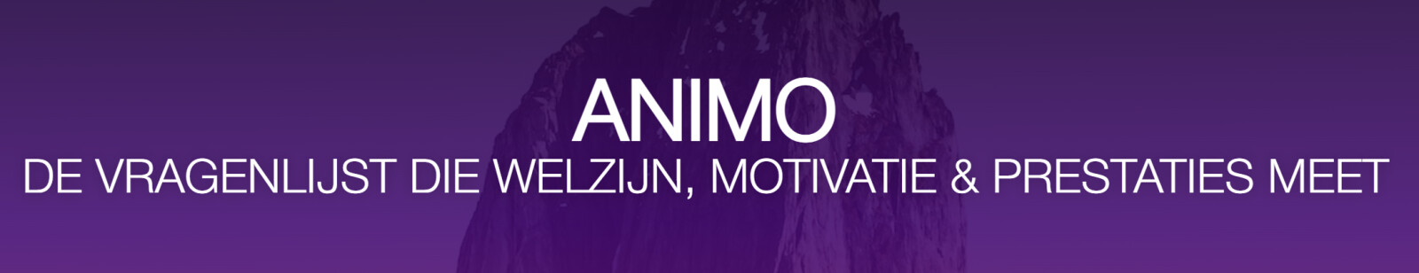 animo-vragenlijst-pls.jpg