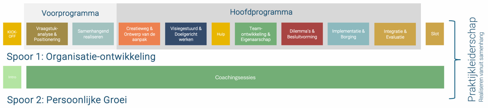 praktijkleiderschap-schematisch.jpg